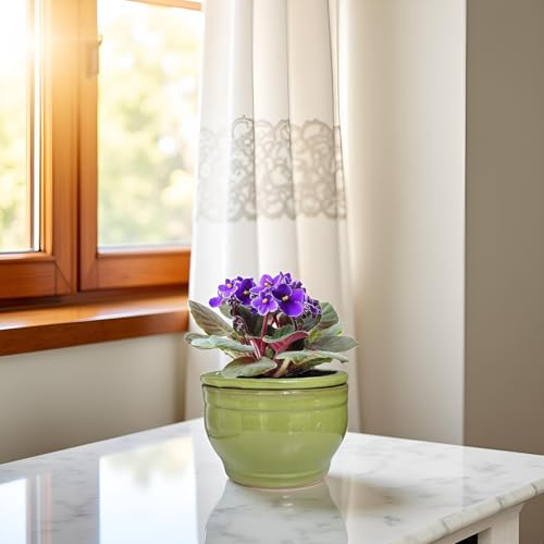 African Violet Pots Self Watering Green 6 inch - color: Green