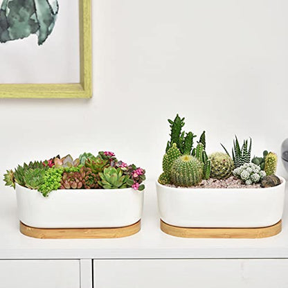 White Ceramic Succulent Plant Pots, Indoor and Outdoor Succulent Planters, Set of 2 Small Cactus Containers, Bonsai Pots, Flower Pots with Drainage Hole and Bamboo Bowl (No Plant) - color: Oval-shaped