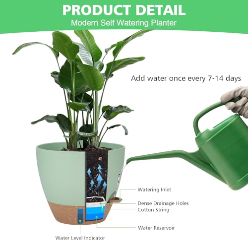 Self Watering Planter for Indoor Plants, 12" 10" 9" 8" Plastic Large Flower Pot Set with Water Level Indicator Deep Reservoir Saucer, Big House Bottom Watering Plant Pots with Drainage Hole - Green - color: Green