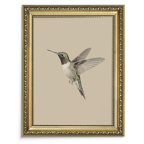 AIMAILON Framed Rural Hummingbird Pattern, Classic Animal Art Style 8x10 - color: Lonly Hummingbird, size: 10"L x 8"W