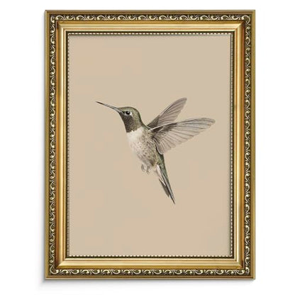 AIMAILON Framed Rural Hummingbird Pattern, Classic Animal Art Style 8x10 - color: Lonly Hummingbird, size: 10"L x 8"W