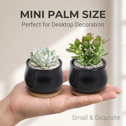 SHECIPIN 8 Pack Succulent Plant Pot, Matte Black Mini 2.6 inch Ceramic Flower Planter Pot with Bamboo Tray, Small Pots for Plants, Plants Not Included - color: Black