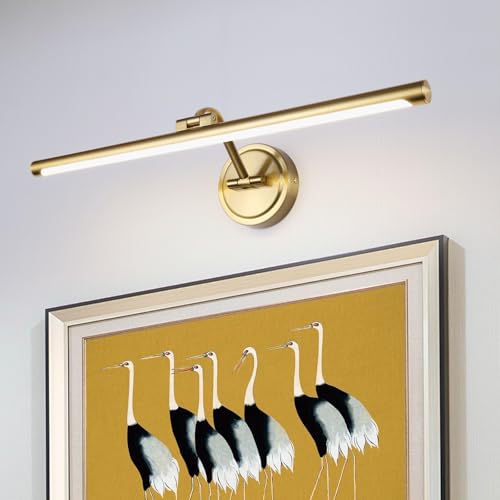 Hard-Wired Picture Lights 23.6 Inch Dimmable LED Wall Art Lighting Modern Brass Gallery Light Poster Lights Adjustable Swing Arm Picture Frame Light for Display Art Work,14W,2700K, Warm White - color: Hard-wired Brass-Dimmable, size: 24 Inch