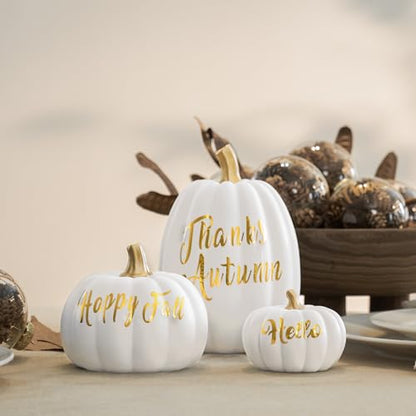 DN DECONATION 3Pcs Fall Pumpkin Decorations for Home, Faux Words Pumpkin