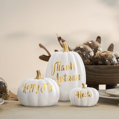DN DECONATION 3Pcs Fall Pumpkin Decorations for Home, Faux Words Pumpkin