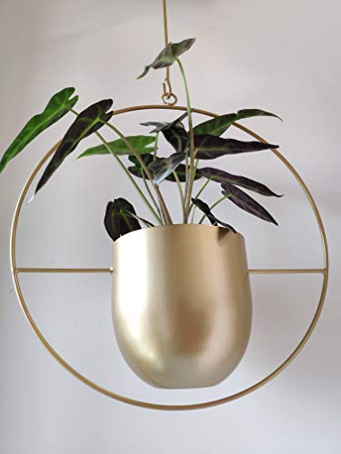 Boho Metal Plant Hanger,Metal Round Hanging Planter, Modern Planter, Mid Century Plant Holder, Minimalist Planter for Indoor Outdoor Home Decor (Gold)