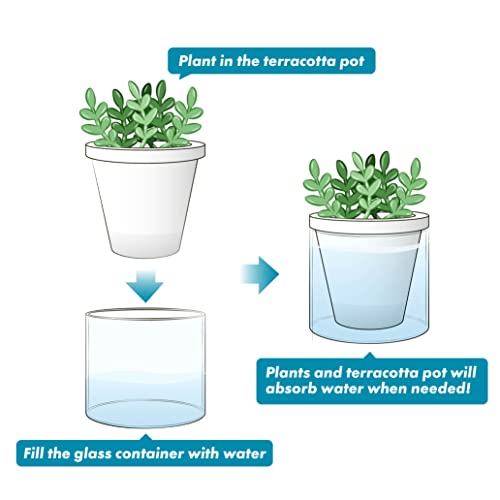 D'vine Dev Self-Watering White Terracotta Planter Pot, 4 in, 37-X-A-2 - color: White, size: 4 Inch