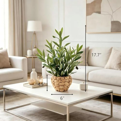 AlphaAcc Fake Potted Plant Small Olive Water Hyacinth Mediterranean Decor - color: Green Olive Plant 17.7" H
