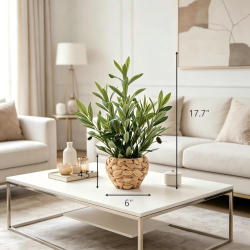 AlphaAcc Fake Potted Plant Small Olive Water Hyacinth Mediterranean Decor - color: Green Olive Plant 17.7" H