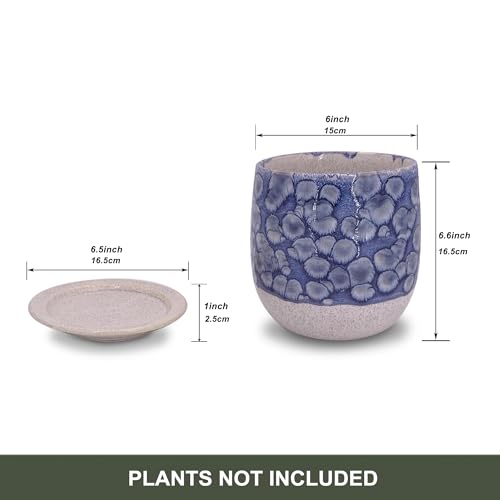 6 in Ceramic Plant Pot with Saucer，Indoor Plant Pot for Plants, Flower Pot with Drainage，Reactive Glaze Blue