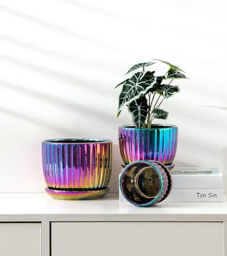 Ceramic Planters,Plant Pots with Drainage Holes & Saucers Set of 3(Purple) - color: Purple