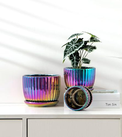 Ceramic Planters,Plant Pots with Drainage Holes & Saucers Set of 3(Purple) - color: Purple