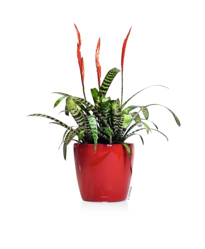 Lechuza 16027 Classico LS 21 Self-Watering Planter, Scarlet Red High Gloss - color: Red High-gloss, size: D21 H20 cm
