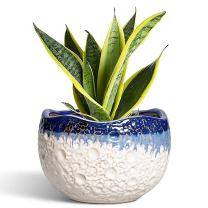 Ceramic Planter 8 Inch, Ceramic Plant Pots Indoor, Beige-Blue - color: Beige-blue, size: 8.2 Inch