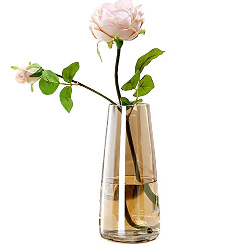 FANTESTICRYAN Modern Glass Vase, 8.7''H Decor Flower Vases, Crystal Amber - color: Crystal Amber