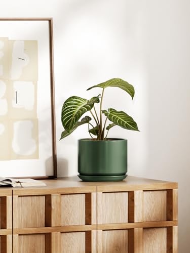 LE TAUCI 8 Inch Plant Pot, Ceramic Pots for Plants, Forest Green - color: Forest Green, size: 8"