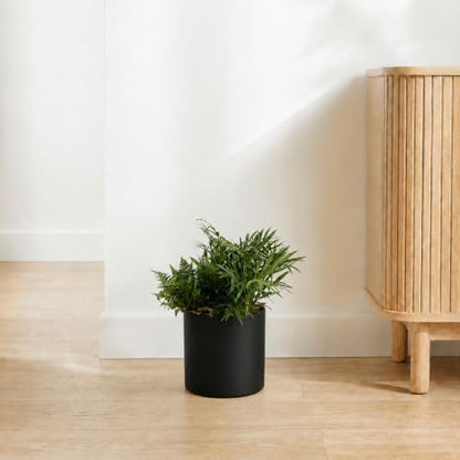 7 Inch Black Metal Plant Pot with Drainage Hole, Indoor Outdoor - color: Black