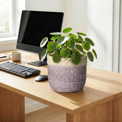 8 Inch Plant Pot, Ceramic Planter, Round Pot for Plants, Purple - color: Purple, size: 8 Inch