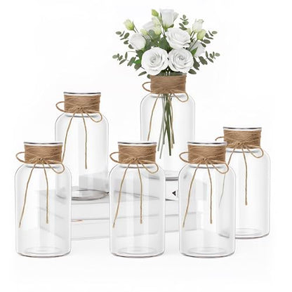 6Pcs Mason Jars for Centerpiece Glass Flower Bud Vase Transparent Vases - color: Transparent