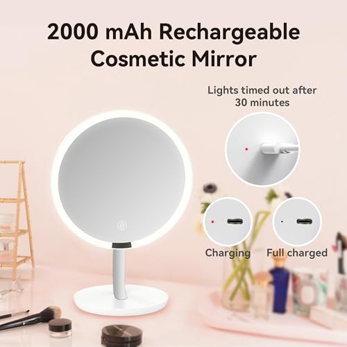 9.65-inch Lighting Makeup Mirror, 1x / 10x,Silver - color: Metallic Silver