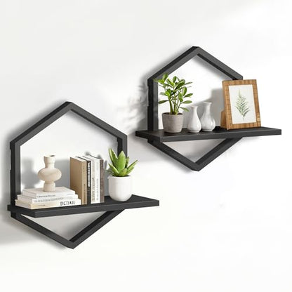 KALYLOC Floating Shelves for Wall, Set of 2 Hanging Shelves for Plants
