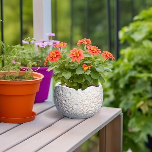 Ceramic Plant Pots 6 Inch, Ceramic Orchid Pot with Drainage, Grey - color: Gray, size: 6.2 Inch