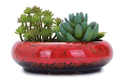 VanEnjoy 7.1 inch Round Large Shallow Succulent Ceramic Glazed Planter Pots with Drainage Hole, Bonsai Pots Garden Decorative Cactus Stand Flower Container (Red) - color: Red