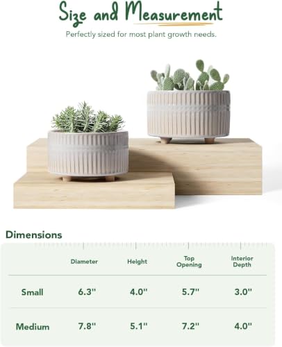 LE TAUCI Succulent Pots, 6.5+8 Inch Ceramic Indoor Plant Pot with Drainage Hole, Shallow Round Succulent Planters, Set of 2, Reactive Glaze Star White - color: Reactive Glaze Star White