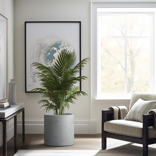 Kante Large Round Cylinder Pale Gray Concrete Planter 15.8" Tall, Outdoor - color: Natural Concrete, size: 15.7" Dia