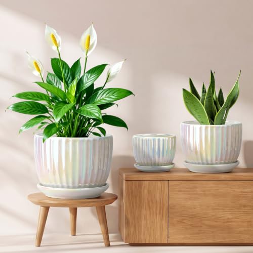 Plant Pots,Ceramic Flower Pots with Drainage Holes & Saucer Set of 3（Pearl） - color: Pearl White