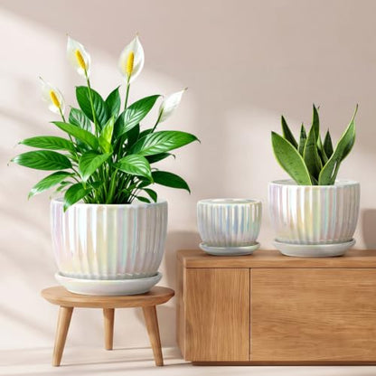 Plant Pots,Ceramic Flower Pots with Drainage Holes & Saucer Set of 3（Pearl） - color: Pearl White
