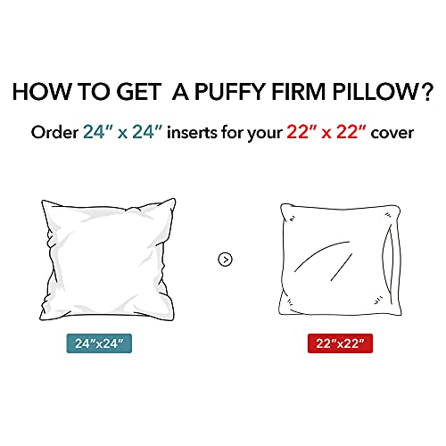 Oubonun Waterproof Outdoor Pillow Inserts 24 x 24 Set of 2, Square Pillows - size: 24 × 24(Pack of 2)