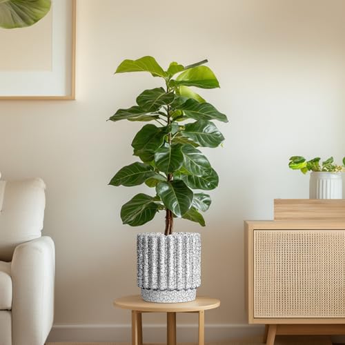 Ceramicfor Ceramic Planter, 7.6 Inch, Black and White - color: Black and White, size: 7.6 Inch