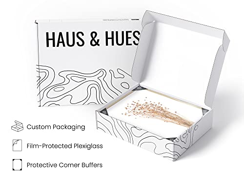 HAUS AND HUES 꽃 벽 장식, 꽃 벽 아트 4개 세트, 꽃 벽 장식, 꽃 벽 아트, 액자 꽃 그림, 꽃 그림 벽 장식, 꽃 그림 벽 장식 액자 (프레임 베이지 20.3 x 25.4cm(8 x - color: 브라운 식물, size: 8 x 10인치 액자 미포함, style: 베이지 프레임