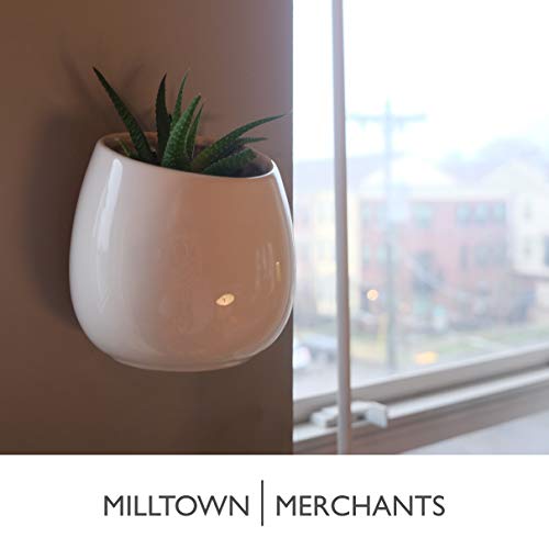 Succulent Wall Planters - Wall Vases - Black Ceramic Wall Mounted Planters - Succulent Plant Pots - Hanging Vases for Living Wall (2 Pack/Modern/White) - color: Small White Modern