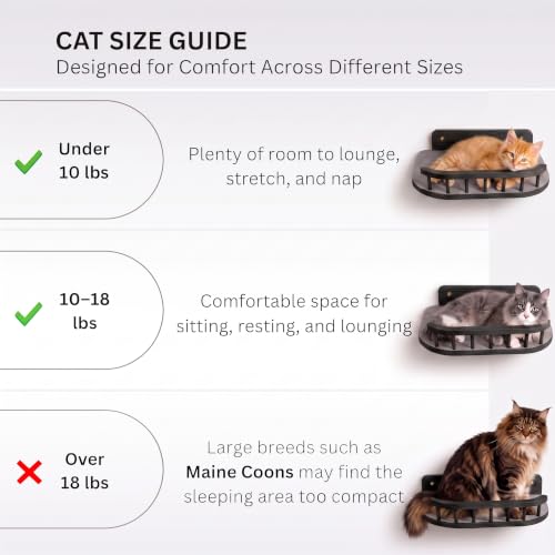 Cat Wall Shelves, Modern Cat Wall Furniture for Indoor Cats - Black - color: Black, 3 Steps + Perch