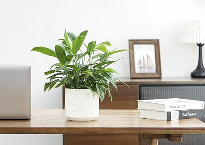 Ceramic Planter Pot with Drainage Hole, 5 Inch Dia, Indoor and Outdoor, Home Patio Garden, Plants&Flowers, Textured Round (White) - style: Textured Round-White
