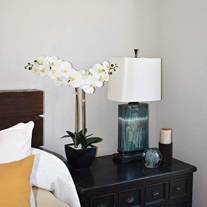 Nature's Elements Tabletop Artificial Orchid Flower (Black) - color: Black