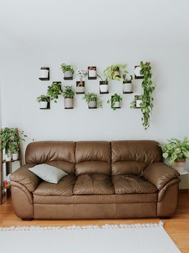 Daniel's Plants 3-Pack Mid-Century Modern L-Shaped Floating Shelves | Solid Wood Plant Wall Shelf Kit | Dusk Grey - color: Dusk Grey