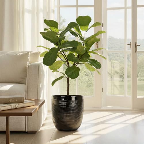 Creative Co-Op Embossed Textured Stoneware Planter, Matte Black - color: Matte Black