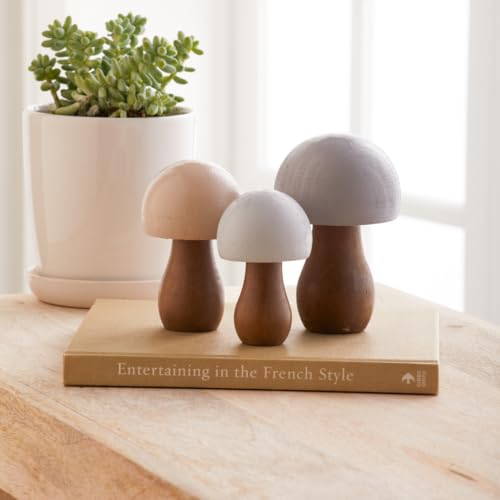 Black Gray Wood Mushrooms, Set of 6 (Black Gray Paint 6) - color: Black Gray 6