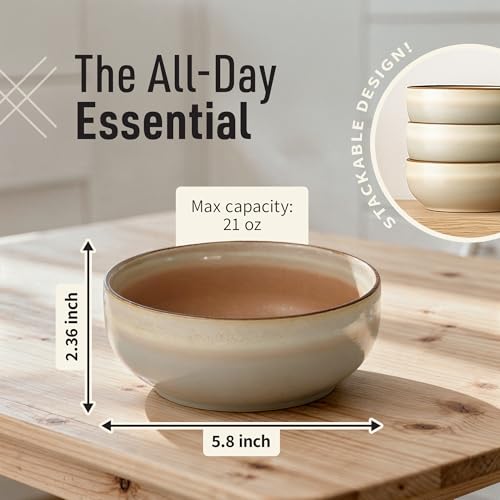 Ava Nord Stoneware Ceramic Cereal Bowls Set of 4, 21 oz | Lead-Free, Cadmium-Free | Microwave and Dishwasher Safe | For Soup, Salad, Rice, Dessert, Ice Cream | Nordic Design | Terracotta/Sage Ash