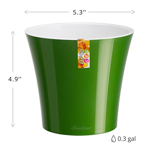 Santino, Self Watering Planter Arte 5.3 Inch White/Black, Indoor Flower Pot for All House Plants, Flowers, Herbs, Succulents - color: White/Black, size: 5.3-Inch