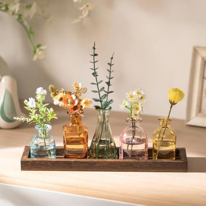 Glasseam Glass Bud Vase for Centerpiece: Small Flower Vases in Wooden Tray - color: Colorful-amber
