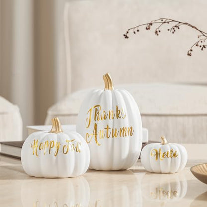DN DECONATION 3Pcs Fall Pumpkin Decorations for Home, Faux Words Pumpkin