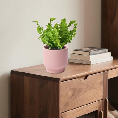 Pink Ceramic Plant Pots - Succulent Flower Small Planter, Pot for Indoor Outdoor Garden Plants with Drainage Holes - Plants Not Included 4.33 X4.33 Inch - color: Pink
