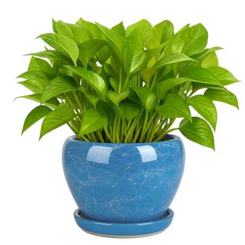 Deep Dream 6 Inch Plant Pots- Ceramic Planter Pot with Drainage Hole and Saucer, Round Flower Pot for Indoor Outdoor Succulent, Snake Plants and Cactus, Gemstone Blue - color: Gemstone Blue, size: 6 Inch