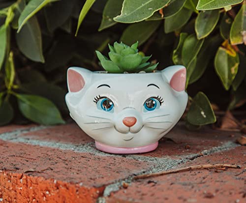 Silver Buffalo Disney The Aristocats Marie 4-Inch Ceramic Mini Planter with Artificial Succulent | Cute Small Flower Pot, Faux Indoor Plants - color: Aristocats