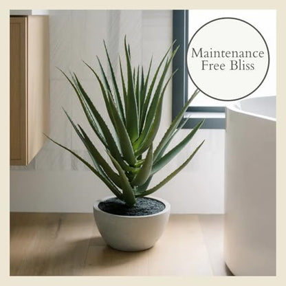 CG Hunter, Faux Agave Plant, 31.5 in, Natural, Home Decor - size: 31.5" Agave