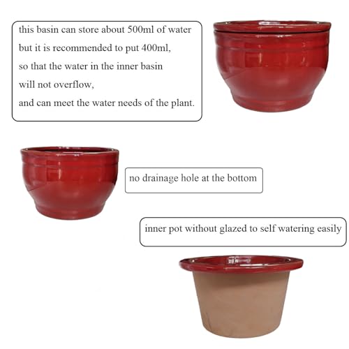 Self Watering African Violet Pots Red 6 inch - color: Red